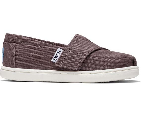 Y Alpargata Classic Canvas - Grey